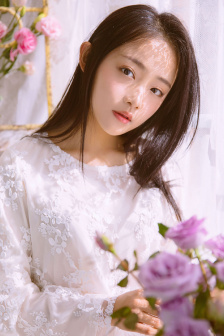菊内留香金银花